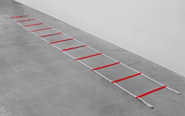 Powermax Web Agility Ladder 3 Powermax Web Agility Ladder