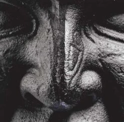 Onnit Quad Mace -Polar Fitbit Shop 07811dc6c422334ce36a09ff5cd6fe71 5d0a754ec2a17