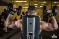 Bear Grips II-Band Wrist Wraps -Polar Fitbit Shop 12ffb0968f2f56e51a59a6beb37b2859 5d0a757987482 600x400 1