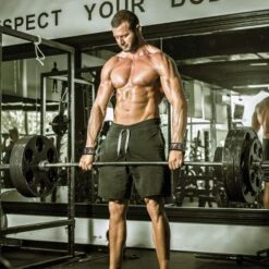 RDX Weight Lifting Straps With Padded Wrist Support -Polar Fitbit Shop 1680829293f2a8541efa2647a0290f88 5d0a758122df4 600x600 1