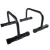 Titan Bolt-Together Parallette Set -Polar Fitbit Shop 193002e668758ea9762904da1a22337c 5d0a751caea92 600x600 1