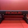 Rogue Monster Utility Bench -Polar Fitbit Shop 1d7f7abc18fcb43975065399b0d1e48e 5db83f846124b 600x450 1