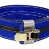 Inzer PR Belt -Polar Fitbit Shop 1f50893f80d6830d62765ffad7721742 5d0a74eb3bdbe 600x394 1