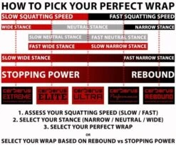 Polar Fitbit Shop -Polar Fitbit Shop 4edaa105d5f53590338791951e38c3ad 5d0a752486a89 600x492 1