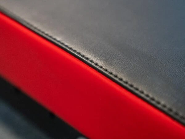 Sorinex P3 Poor Man Glute Ham Developer 11 Sorinex P3 Poor Man Glute Ham Developer - Image 9