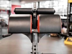 Sorinex Glute Ham Developer 21 Sorinex Glute Ham Developer -Polar Fitbit Shop 66e8ba8216a1e152d72653d99a4f03ab 5d0a756ae9231 600x450 1