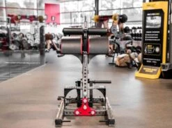 Sorinex Glute Ham Developer 22 Sorinex Glute Ham Developer -Polar Fitbit Shop 66e8ba8216a1e152d72653d99a4f03ab 5d0a756aeec35 600x450 1