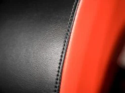 Sorinex Glute Ham Developer 23 Sorinex Glute Ham Developer -Polar Fitbit Shop 66e8ba8216a1e152d72653d99a4f03ab 5d0a756b00384 600x450 1