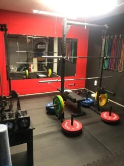 Rogue Y-2 Yoke -Polar Fitbit Shop 6e2713a6efee97bacb63e52c54f0ada0 5d2cd1f83514a