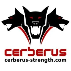CERBERUS Elite Wrist Wraps -Polar Fitbit Shop 6ef80bb237adf4b6f77d0700e1255907 5d0a7579db0e0 600x600 1