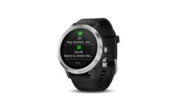 Garmin Vivoactive 3 Smartwatch -Polar Fitbit Shop 7283518d47a05a09d33779a17adf1707 5d0a753fb5d3b 600x388 1