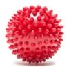 ProTec Spiky Ball -Polar Fitbit Shop 8b6dd7db9af49e67306feb59a8bdc52c 5d0a74ef6e2d5 600x499 1