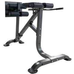 Titan Adjustable Dual Hyperextension 17 Titan Adjustable Dual Hyperextension -Polar Fitbit Shop a376033f78e144f494bfc743c0be3330 5d0a756d31c3b 600x600 1