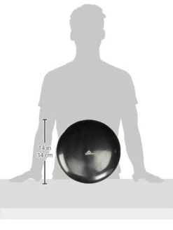 Black Mountain Stability Disc 6 Black Mountain Stability Disc -Polar Fitbit Shop d254c8a084d4545bd80577481aa03076 5d0a755c43e07