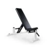 EliteFTS 0-90 Incline Bench -Polar Fitbit Shop d542599794c1cf067d90638b5d3911f3 5d0a7553eab34 600x600 1