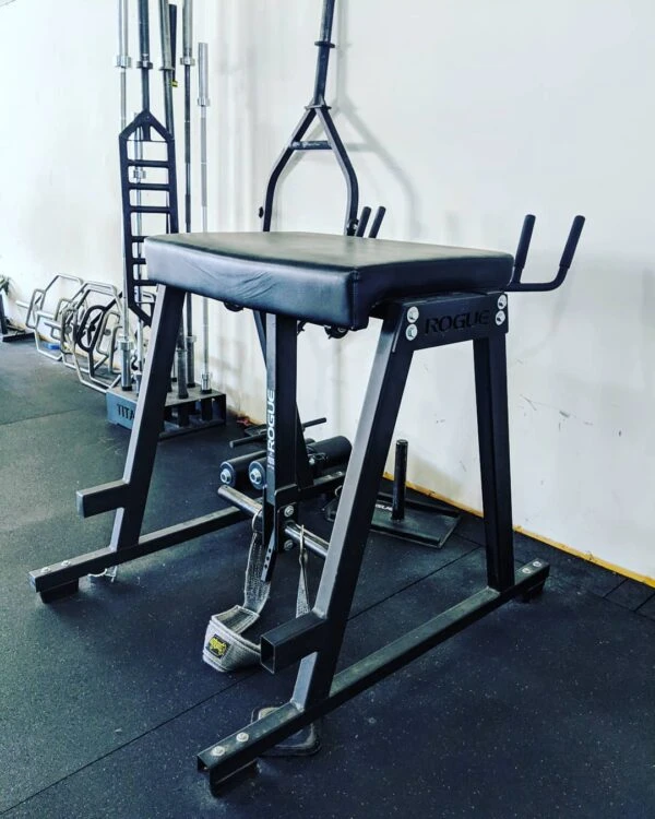 Rogue RH-2 Reverse Hyper 3 Rogue RH-2 Reverse Hyper