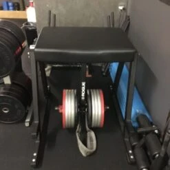 Rogue RH-2 Reverse Hyper 6 Rogue RH-2 Reverse Hyper -Polar Fitbit Shop e165421110ba03099a1c0393373c5b43 5d111b5ac6c51 600x600 1