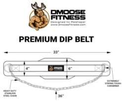 DMoose Premium Dip Belt -Polar Fitbit Shop e3251075554389fe91d17a794861d47b 5d0a751b3e943 600x503 1