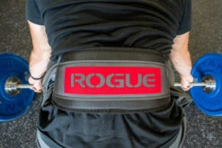 Rogue USA Nylon Lifting Belt -Polar Fitbit Shop e97ee2054defb209c35fe4dc94599061 5f3754d0a44ed 600x400 1