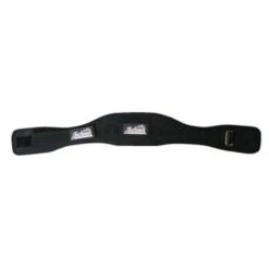 Schiek 2004 Lifting Belt -Polar Fitbit Shop fe8c15fed5f808006ce95eddb7366e35 5d0a74e70a42e 600x600 1
